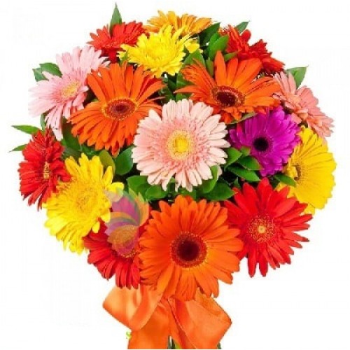 Online Flowers, Cake and Gifts Online Delivery in India India’s